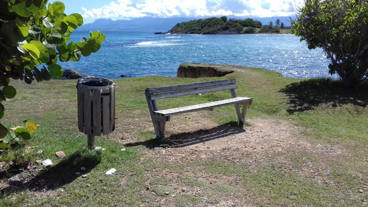 Le Studio Oncle Sam - Acces Piscine Et Plage Le Gosier  Bagian luar foto